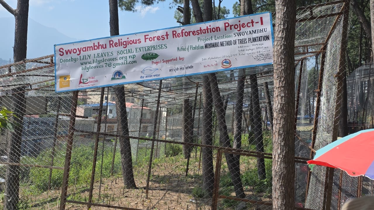 UNESCO World Heritage Site Swayambhunath Miyawaki Plantation  Method