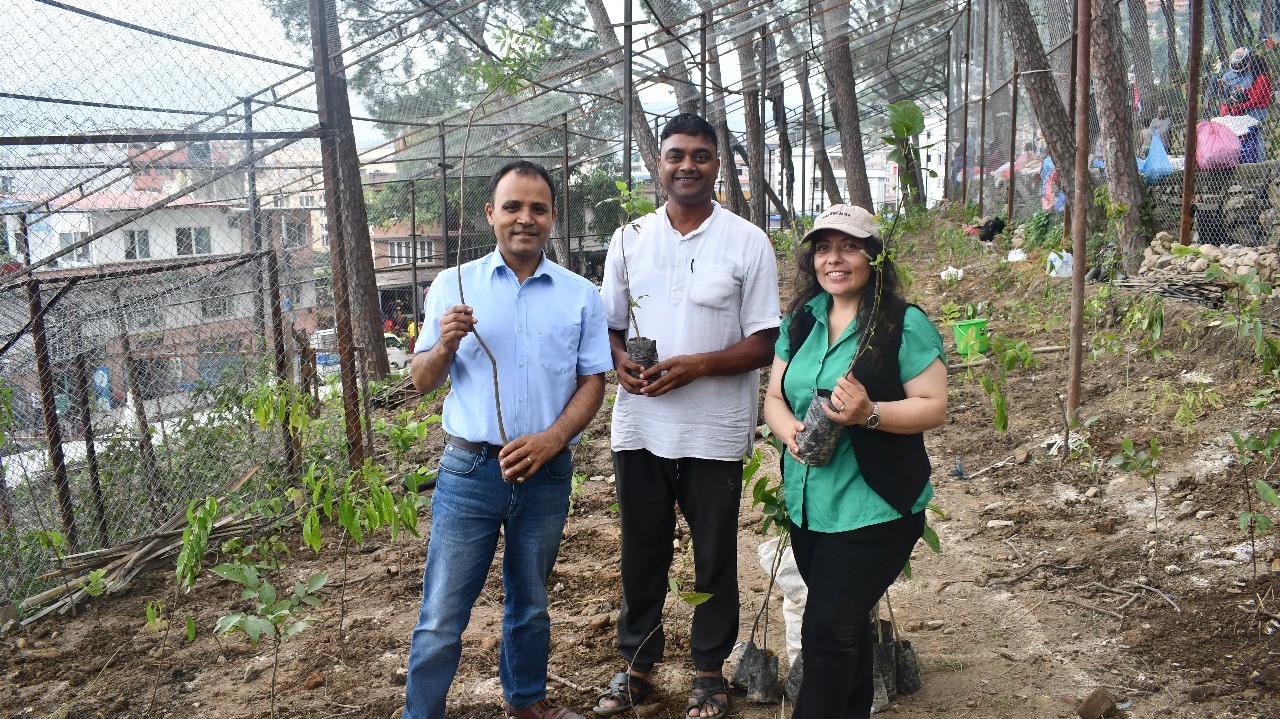 UNESCO World Heritage Site Swayambhunath Miyawaki Plantation  Method