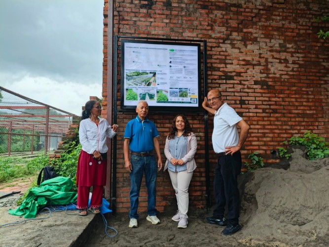 Lily Leaves Establishes Swayambhu Research Nursery to Restore Nepal's Native Biodiversity